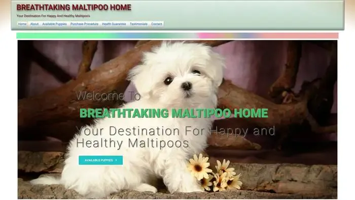 Screenshot of
