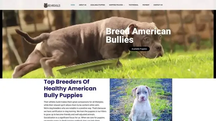 Screenshot of