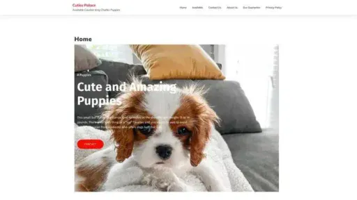 Screenshot of
