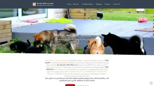 Screenshot of