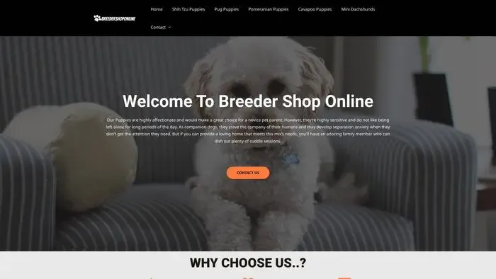 Screenshot of
