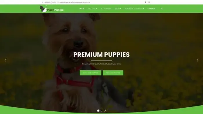 Screenshot of