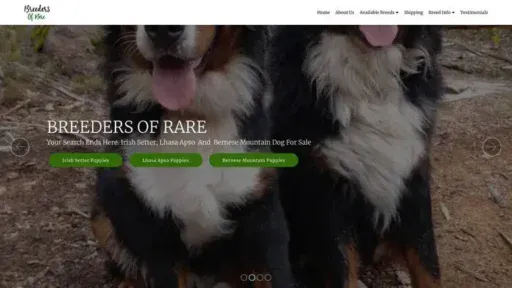Screenshot of