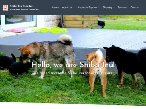 Screenshot of