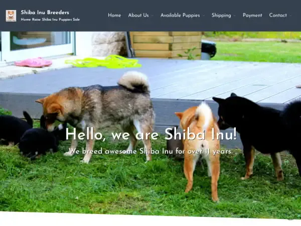 Screenshot of