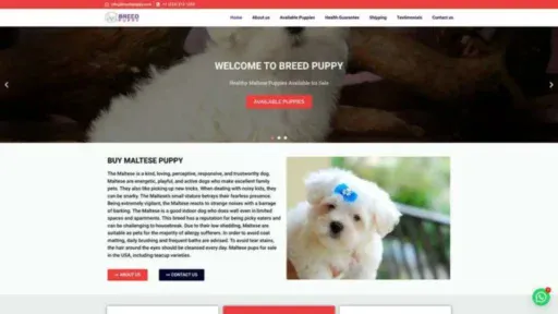 Screenshot of||