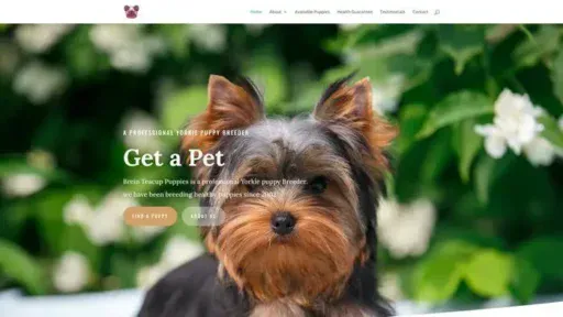 Screenshot of