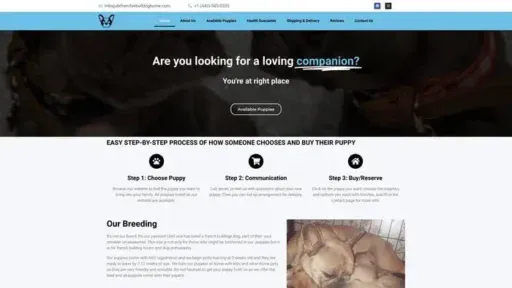 Screenshot of