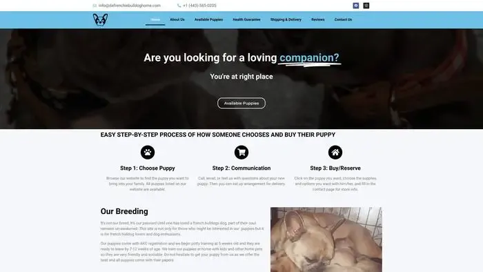 Screenshot of