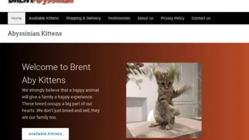 Screenshot of
