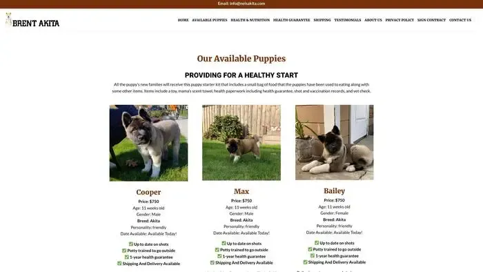 Screenshot of