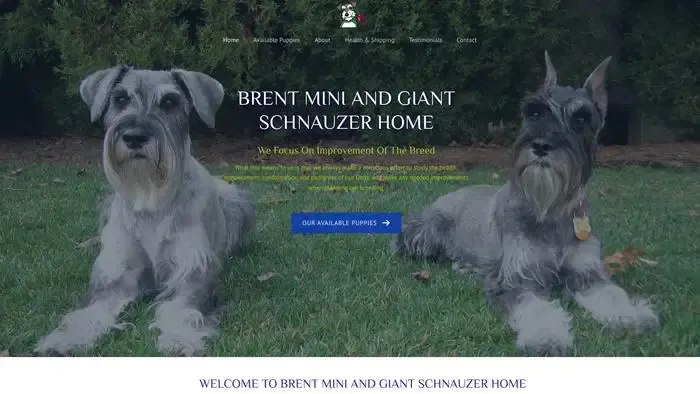 Screenshot of
