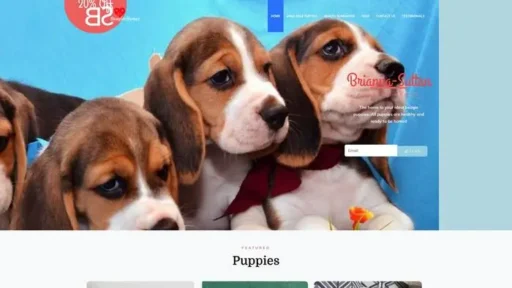 Screenshot of