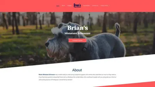 Screenshot of
