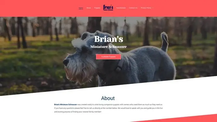 Screenshot of