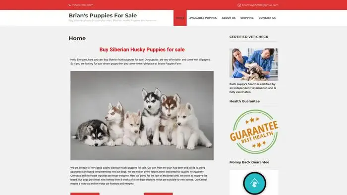 Screenshot of