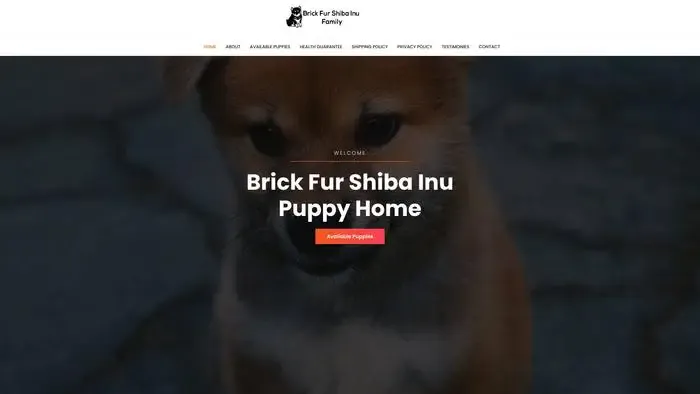 Screenshot of