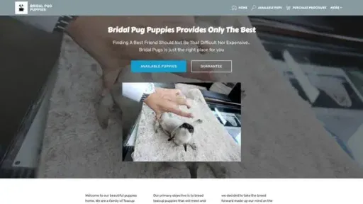 Screenshot of