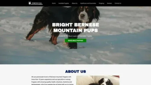Screenshot of||
