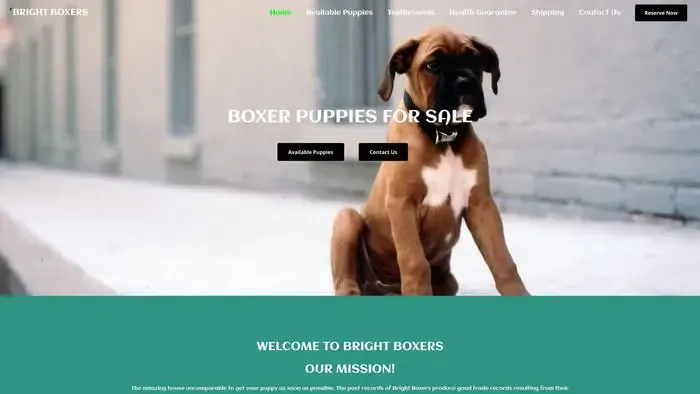 Screenshot of