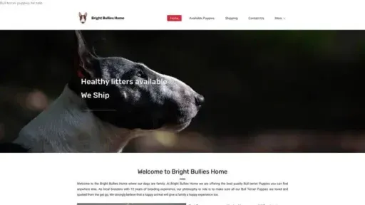 Screenshot of