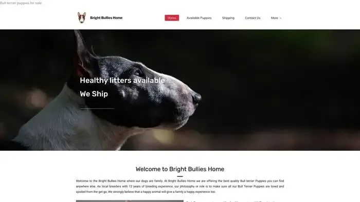 Screenshot of