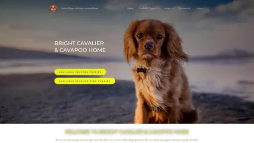 Screenshot of