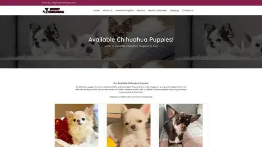 Screenshot of