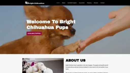Screenshot of