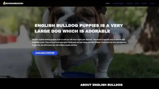 Screenshot of