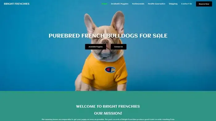 Screenshot of