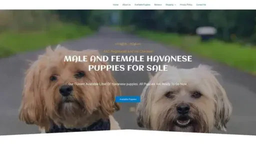 Screenshot of
