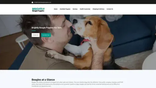 Screenshot of