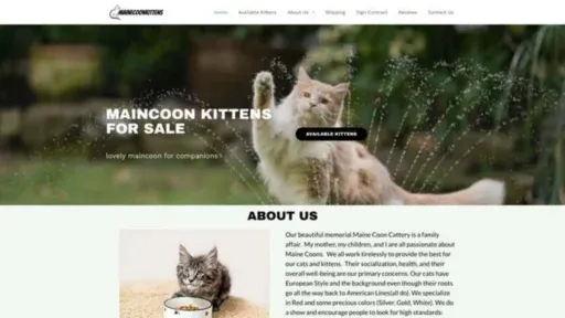 Screenshot of||