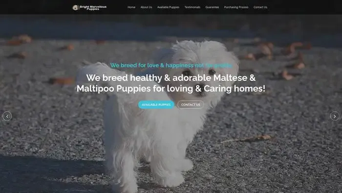 Screenshot of