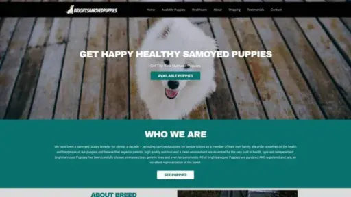 Screenshot of||