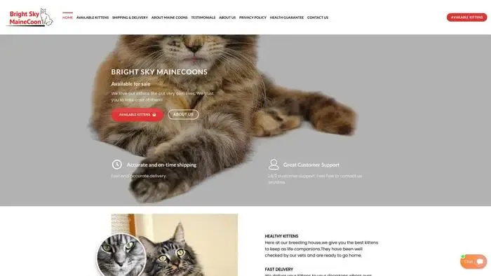 Screenshot of