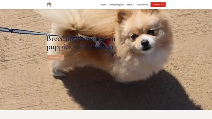 Screenshot of