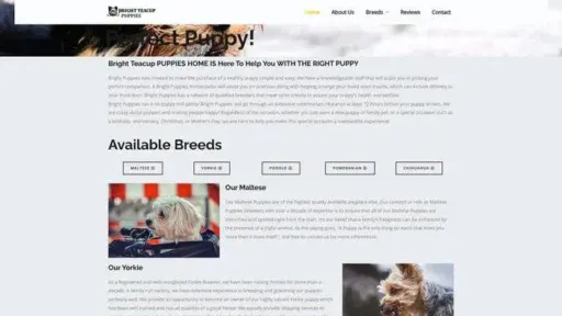 Screenshot of