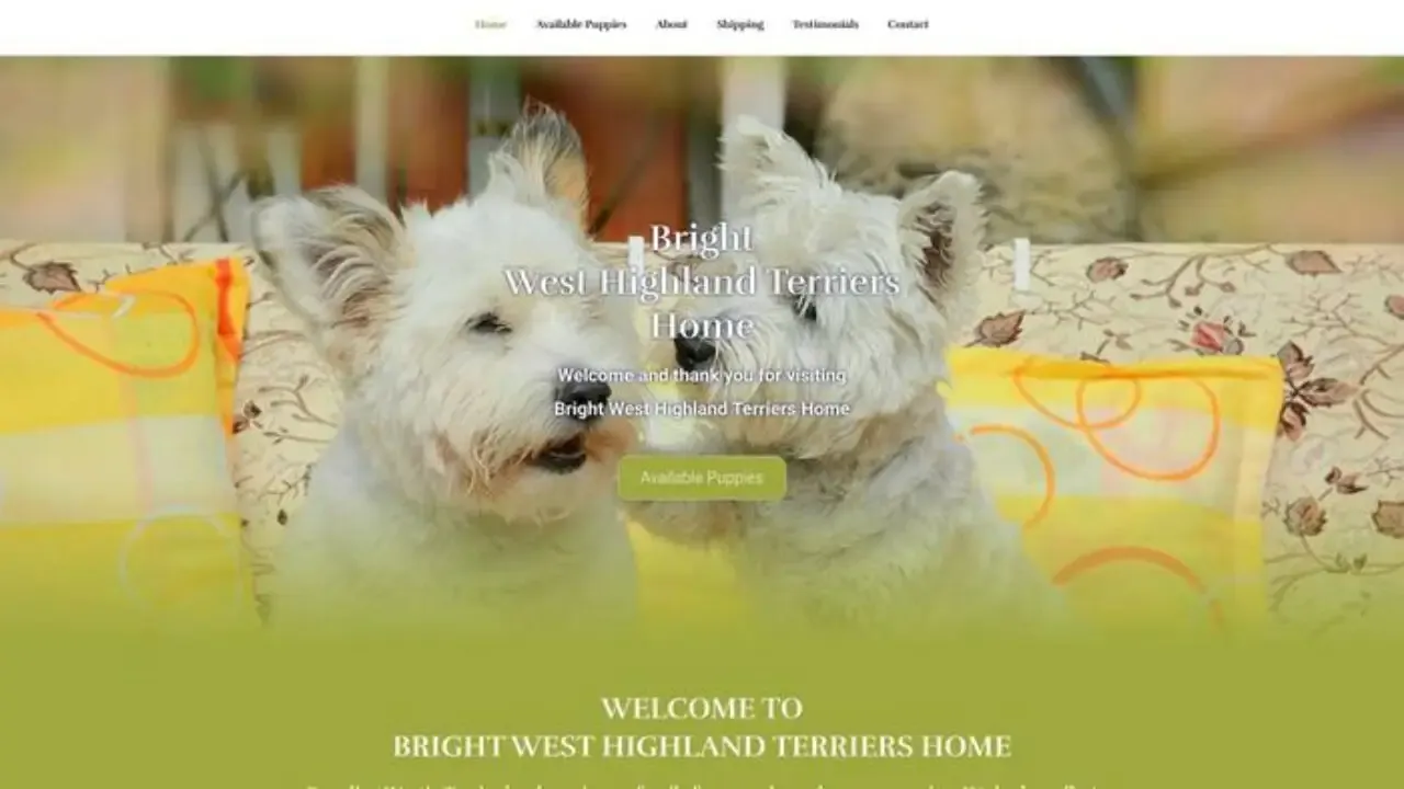 Brightwesthighlandterrierhome