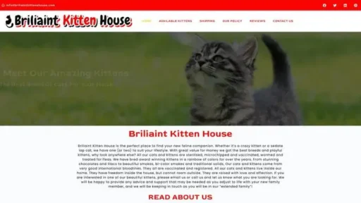 Screenshot of