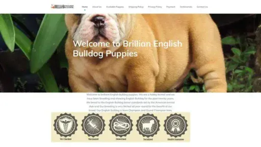 Screenshot of