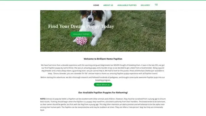 Screenshot of