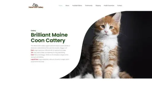 Screenshot of