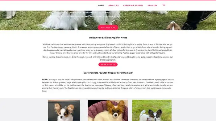 Screenshot of