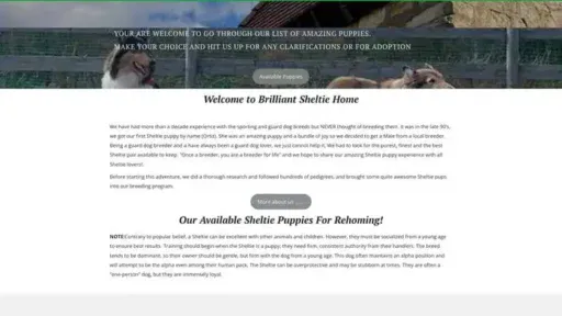 Screenshot of