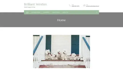Screenshot of
