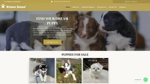 Screenshot of