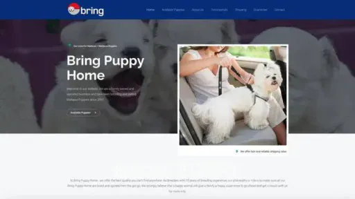 Screenshot of