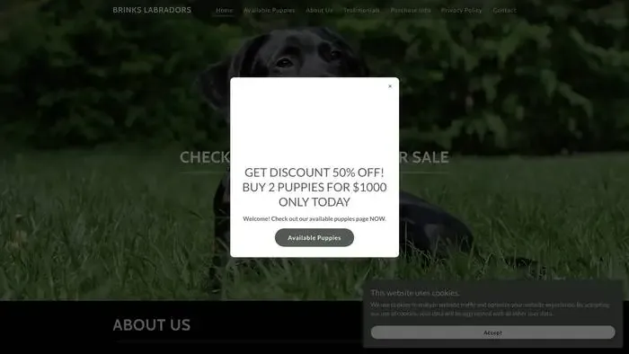 Screenshot of